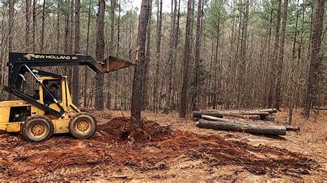 pushing trees with skid steer|pushing over pine buckets.